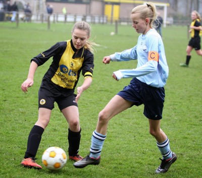 Vorden MCD1-vvDieren MCD1 1-0